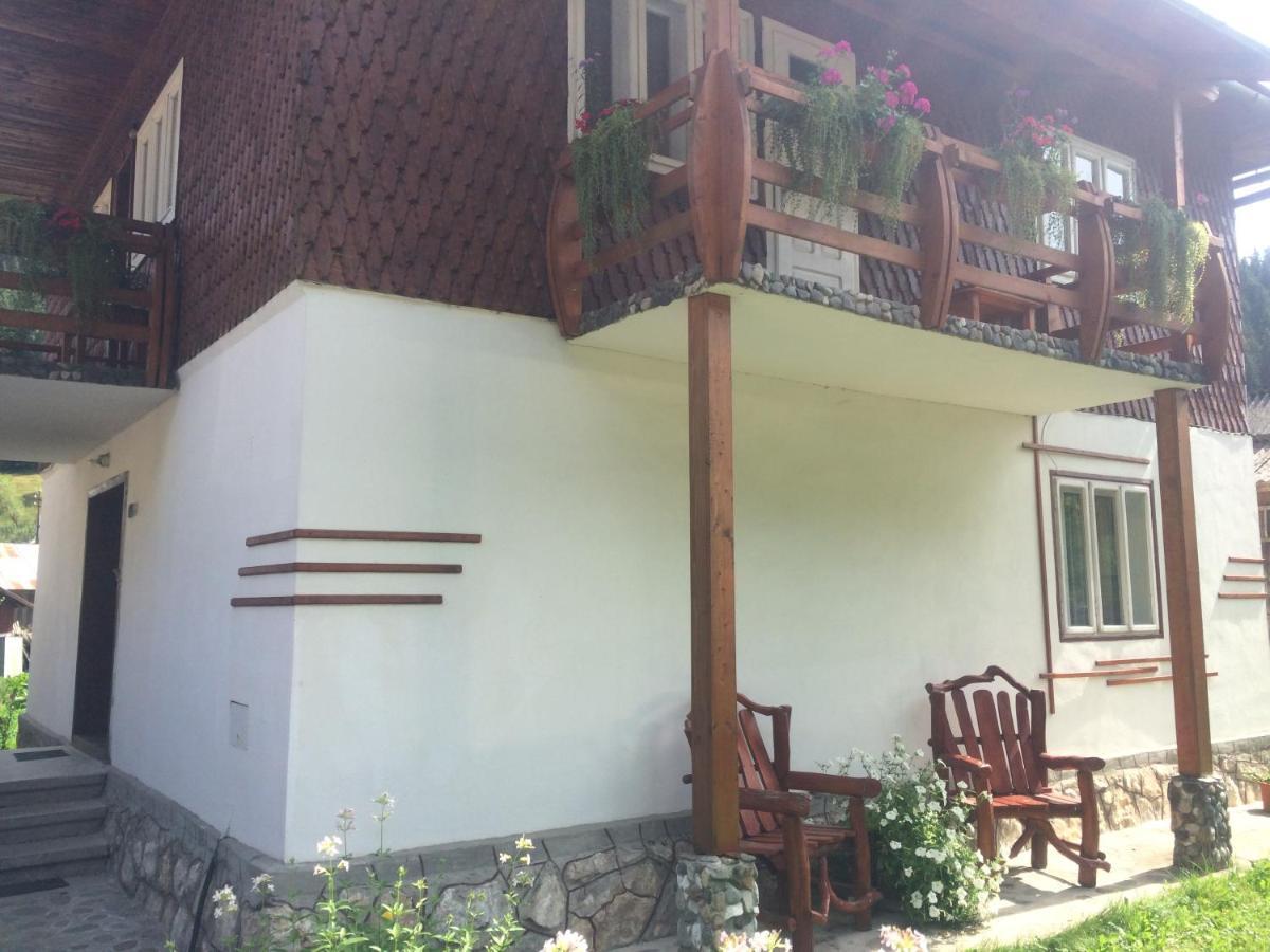 Gîrda de Sus Casa De Vacanta Joldes酒店 外观 照片