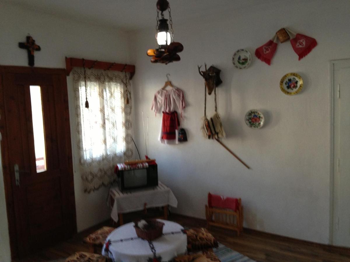Gîrda de Sus Casa De Vacanta Joldes酒店 外观 照片
