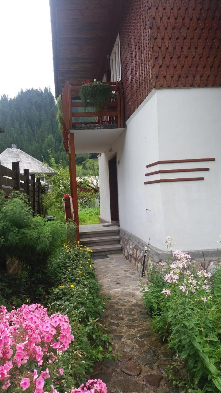 Gîrda de Sus Casa De Vacanta Joldes酒店 外观 照片